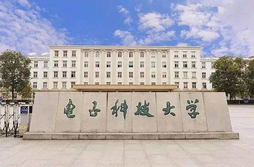 四川42所高校开学！计算机领域如何抢占技术开发新浪潮？